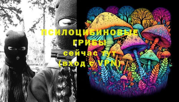 мдпв Кукмор
