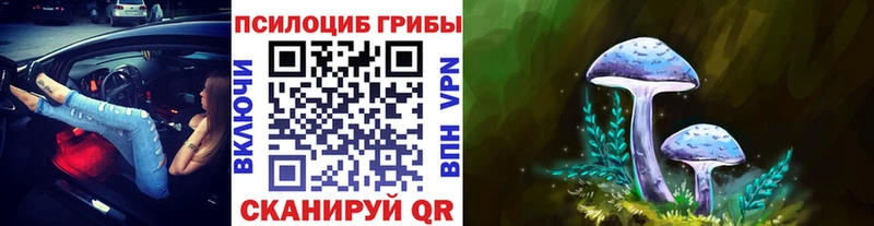 Псилоцибиновые грибы MAGIC MUSHROOMS наркота MEGA как войти Лесосибирск