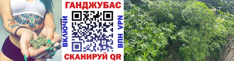 МАРИХУАНА сатива  Лесосибирск 